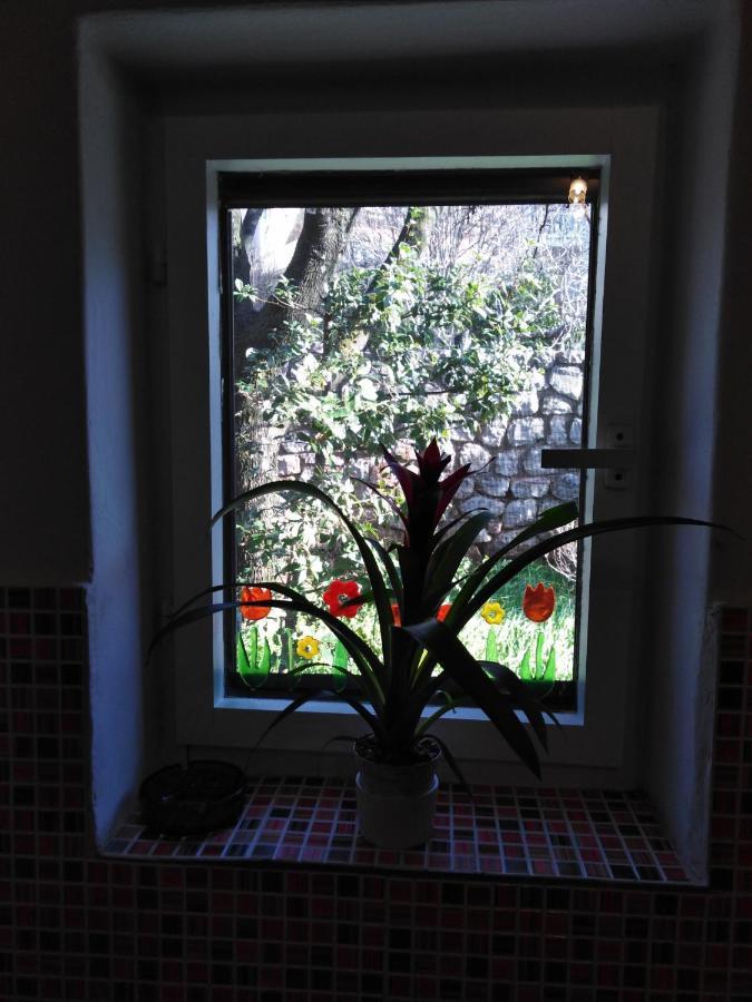 Apartman Mimi Кленовица Екстериор снимка